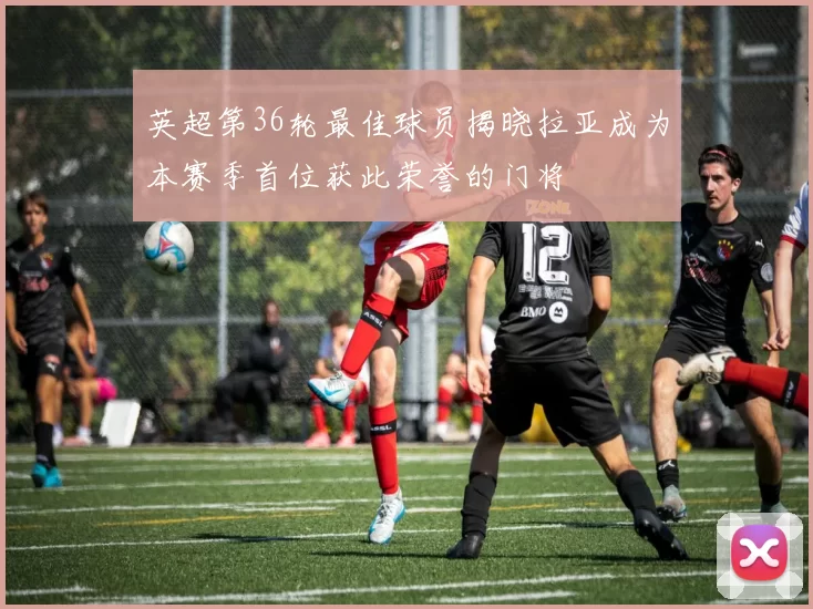 英超第36轮最佳球员揭晓拉亚成为本赛季首位获此荣誉的门将